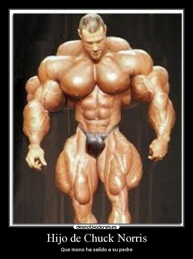 Hijo de Chuck Norris - 