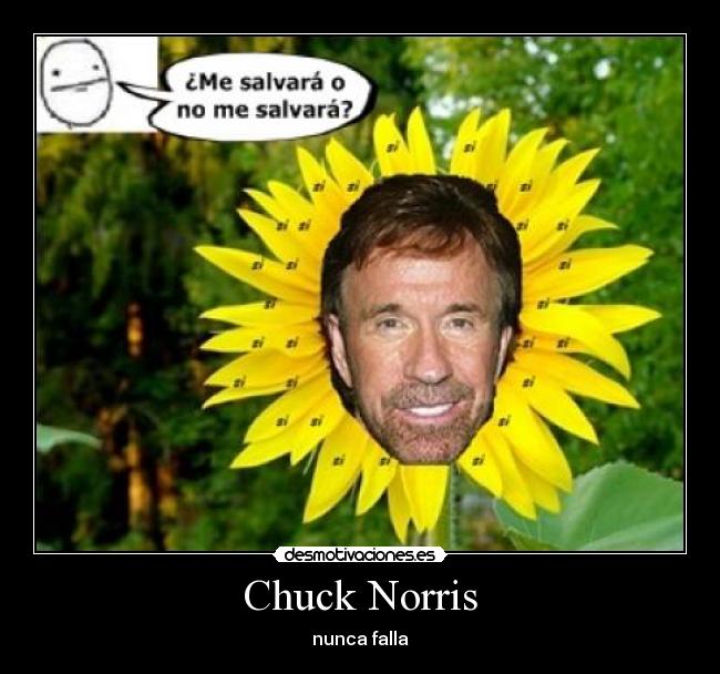 Chuck Norris -