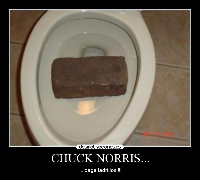 CHUCK NORRIS... - ... caga ladrillos !!!