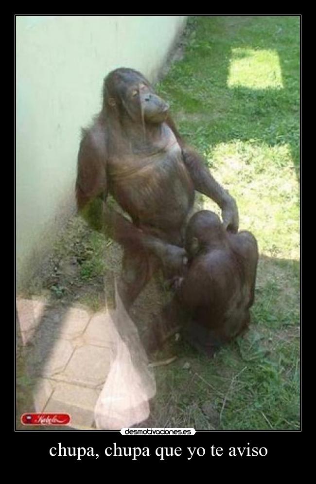 chupa, chupa que yo te aviso - 