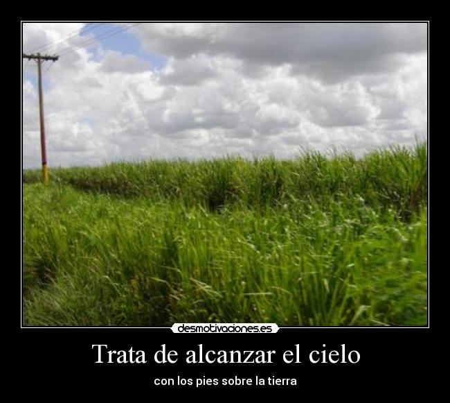 Trata de alcanzar el cielo - con los pies sobre la tierra