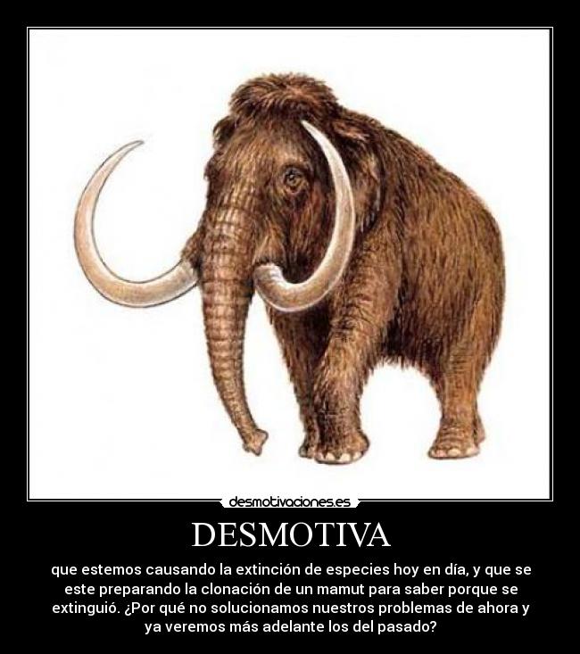 DESMOTIVA - 