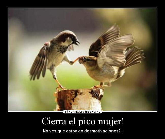 Cierra el pico mujer! - 