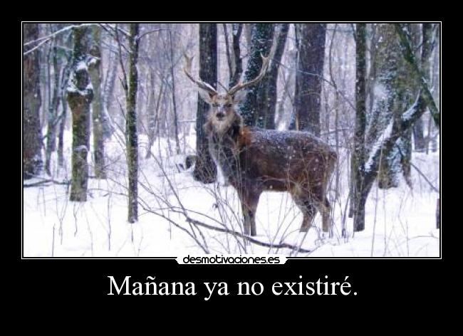Mañana ya no existiré. -