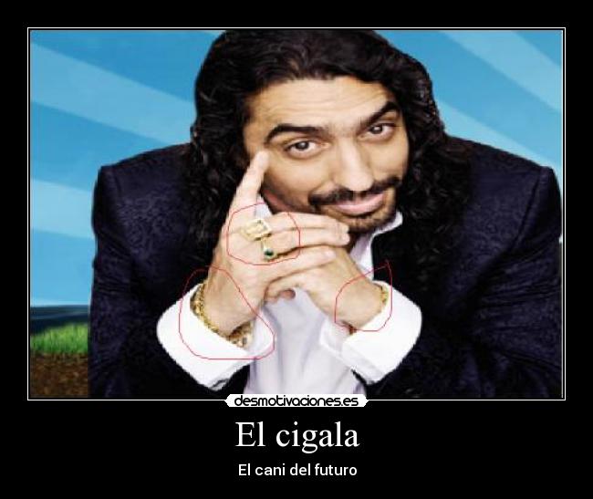 carteles cigala desmotivaciones