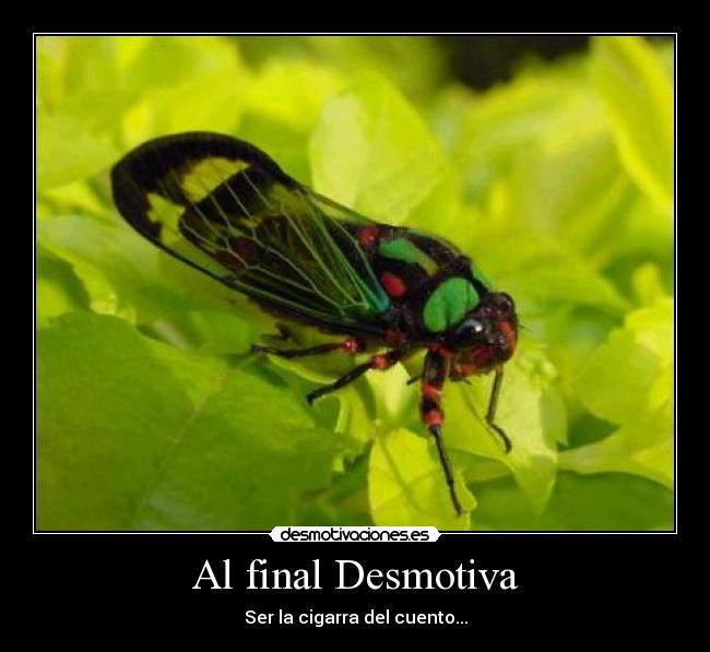 Al final Desmotiva - Ser la cigarra del cuento...