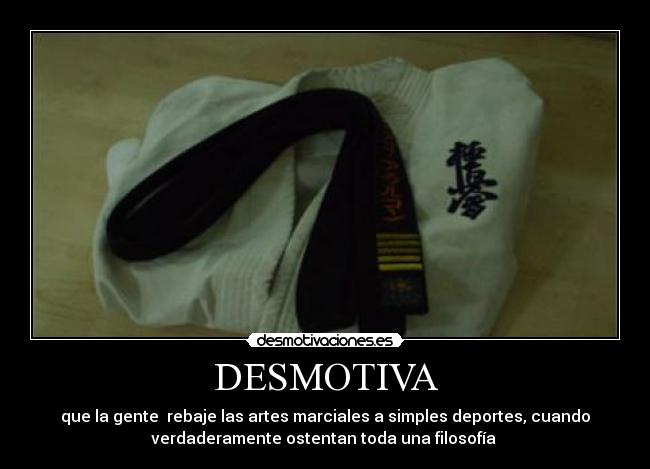 DESMOTIVA - que la gente rebaje las artes marciales a simples deportes, cuando
verdaderamente ostentan toda una filosofía