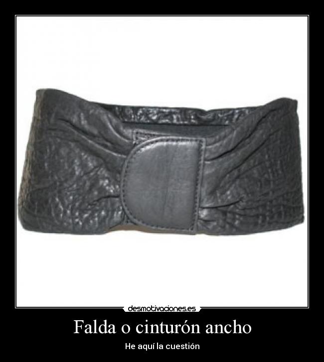 Falda o cinturón ancho -