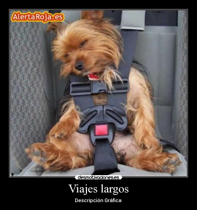 Viajes largos -