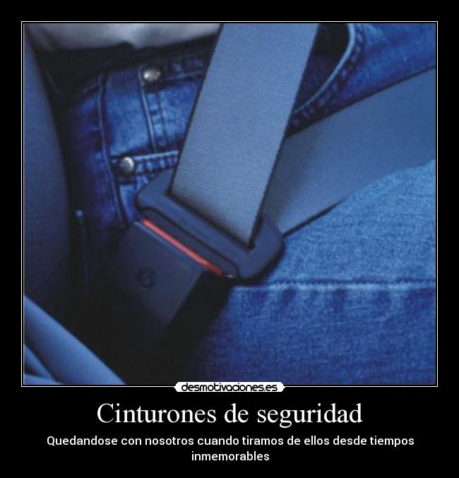 Cinturones de seguridad - 