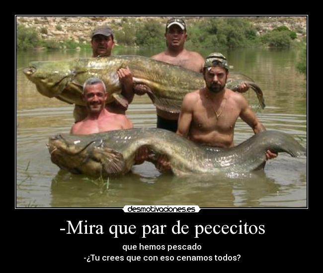 -Mira que par de pececitos - que hemos pescado
-¿Tu crees que con eso cenamos todos?