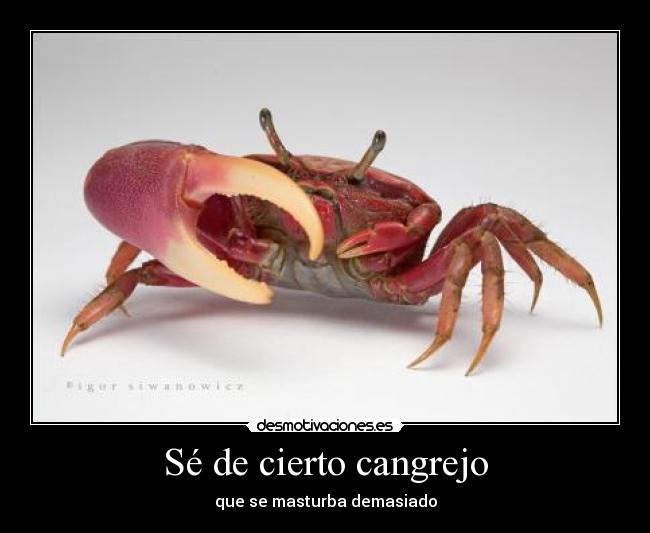 Sé de cierto cangrejo - que se masturba demasiado