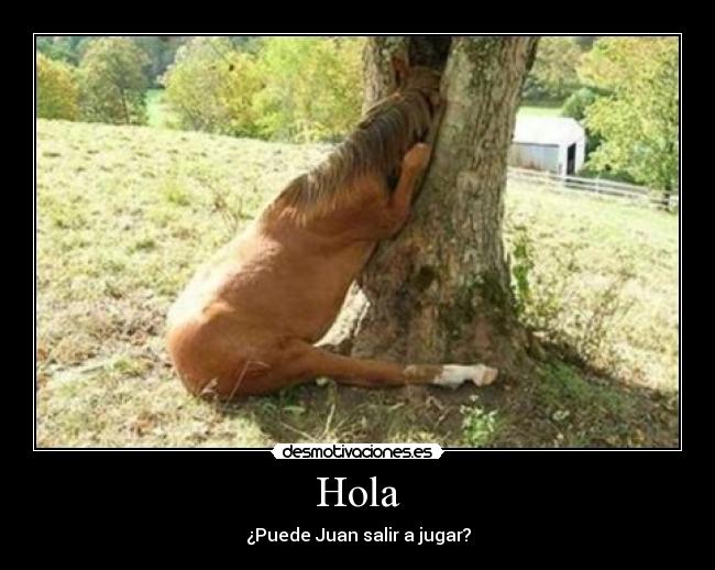 Hola - 