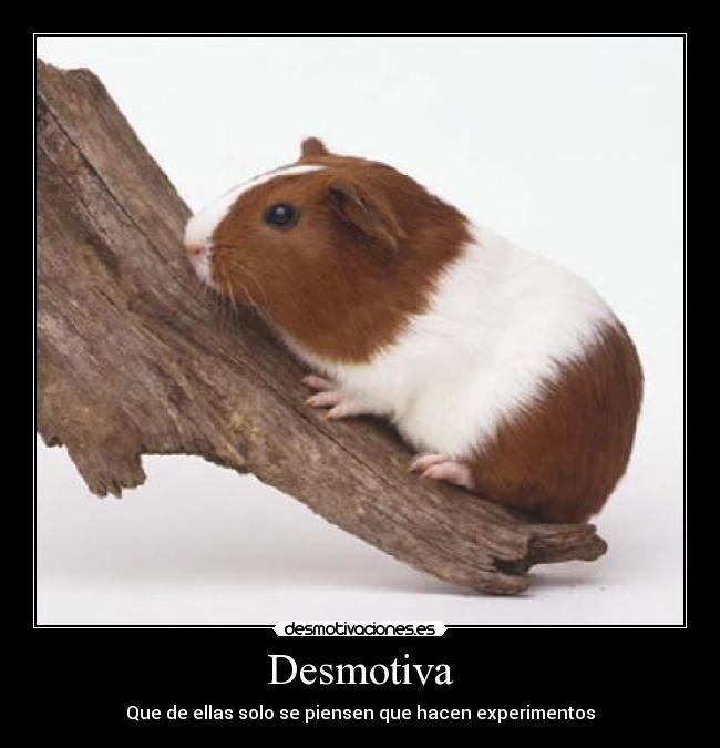Desmotiva -
