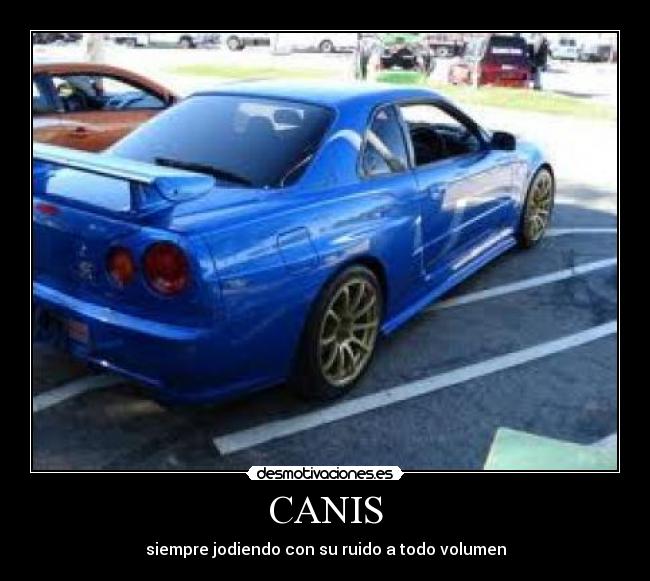 CANIS - siempre jodiendo con su ruido a todo volumen