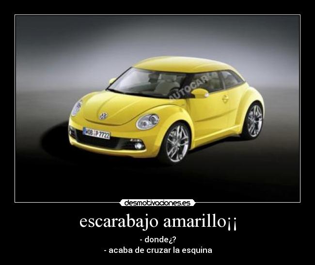 escarabajo amarillo¡¡ -