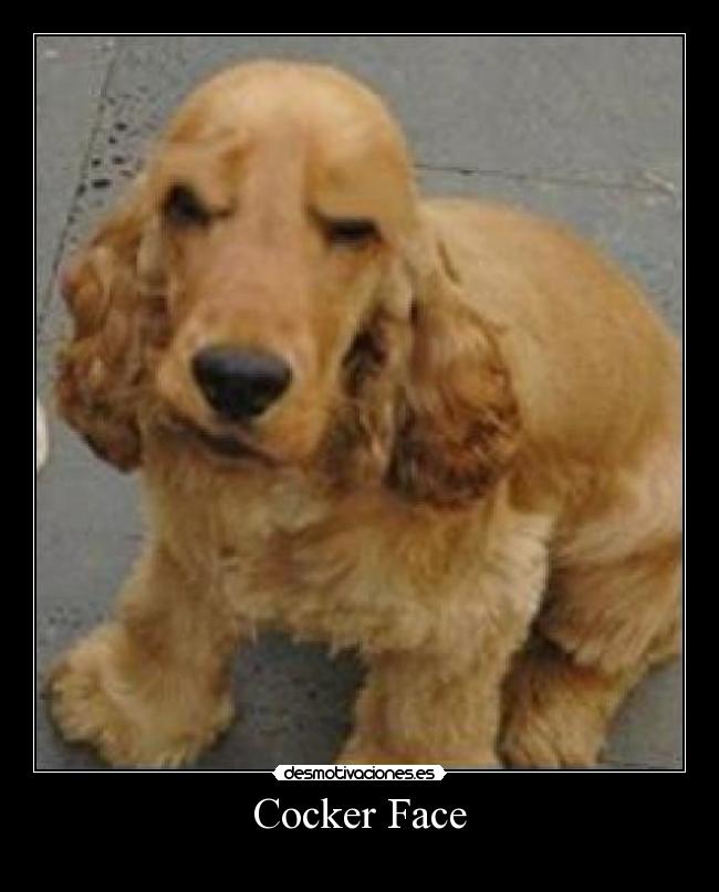 carteles definicion grafiica desmotivaciones