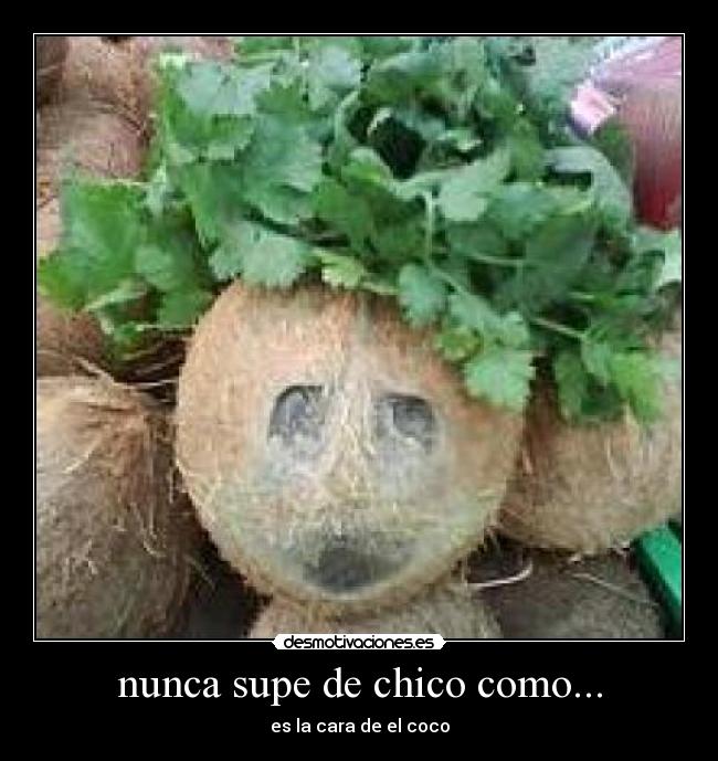 carteles noooooooooo desmotivaciones