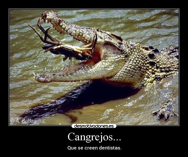 Cangrejos... - Que se creen dentistas.
