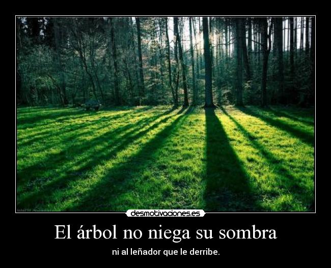 El árbol no niega su sombra - 