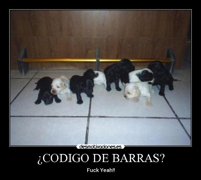 ¿CODIGO DE BARRAS? - Fuck Yeah!!
