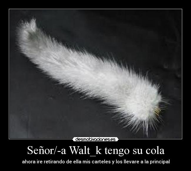 Señor/-a Walt_k tengo su cola - 