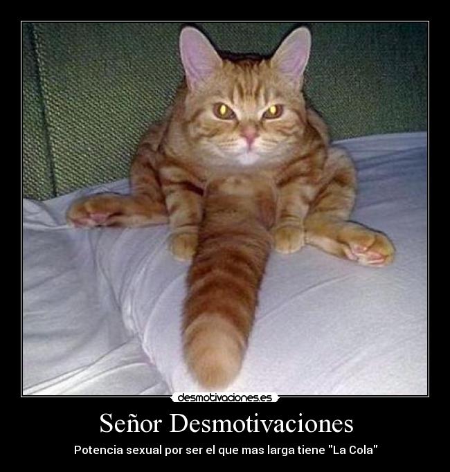 Señor Desmotivaciones -