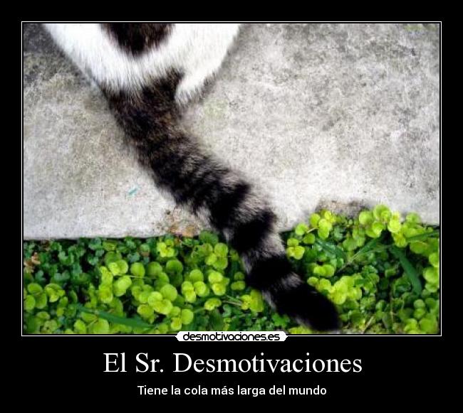 El Sr. Desmotivaciones - Tiene la cola más larga del mundo