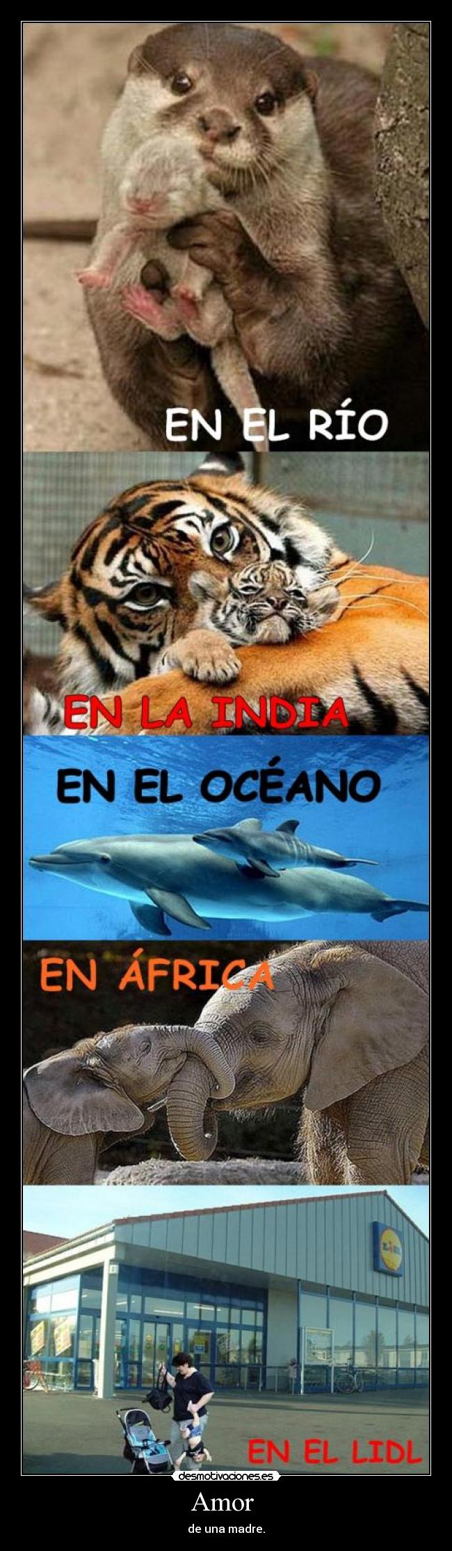 Amor - de una madre.