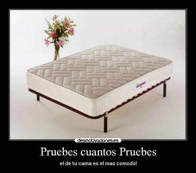 Pruebes cuantos Pruebes -
