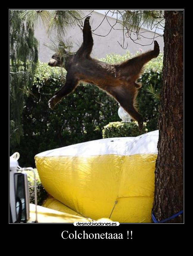 Colchonetaaa !! -