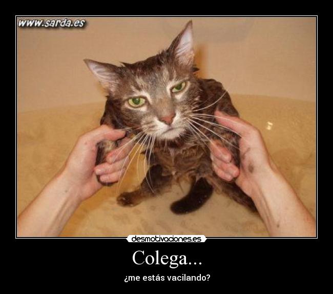 Colega... - 
