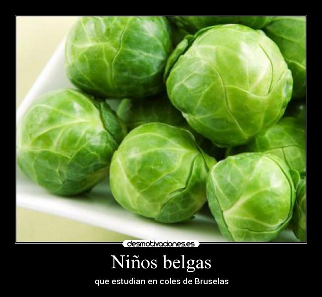 Niños belgas - que estudian en coles de Bruselas