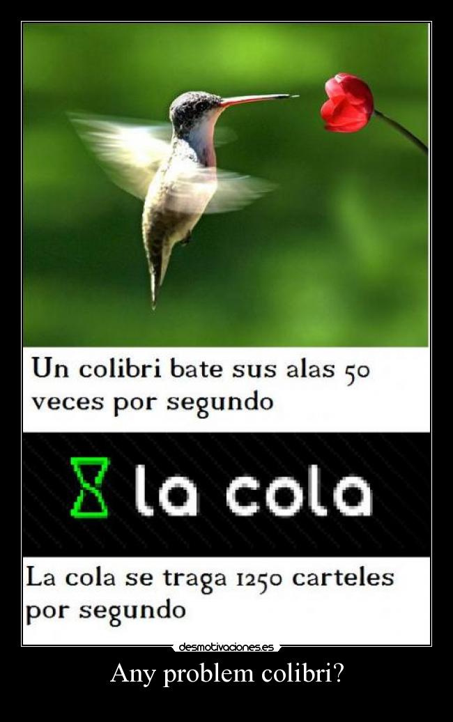 Any problem colibri? -