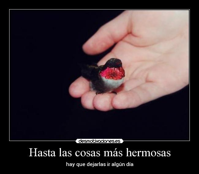 Hasta las cosas más hermosas - hay que dejarlas ir algún día