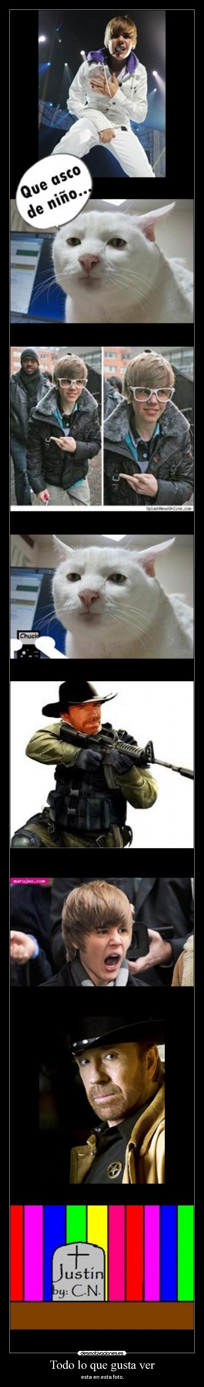 Todo lo que gusta ver - 