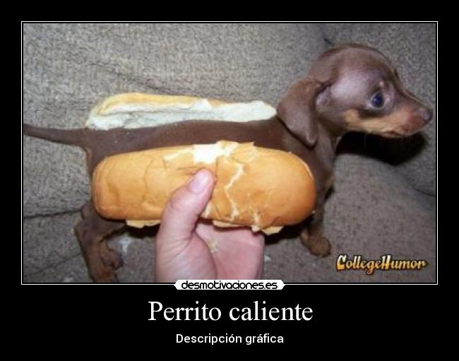Perrito caliente - Descripción gráfica
