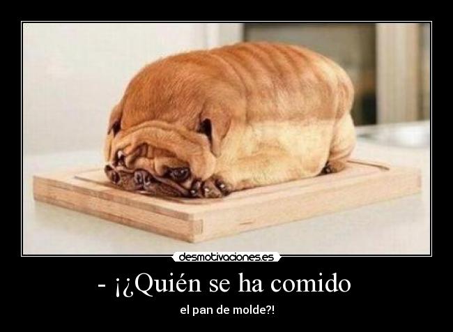 - ¡¿Quién se ha comido  - 