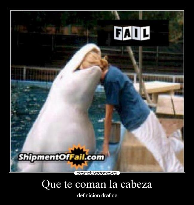 carteles delfin con hambre desmotivaciones