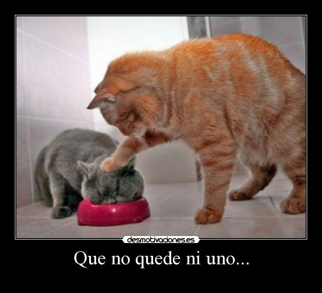 Que no quede ni uno... - 