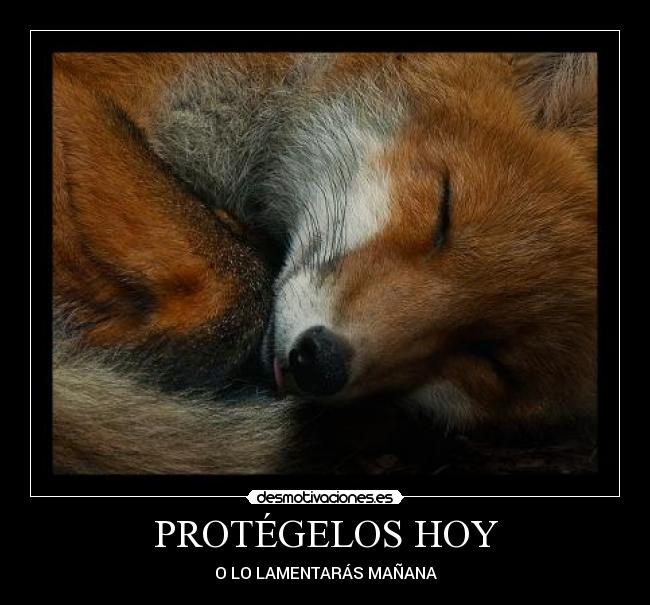PROTÉGELOS HOY - 