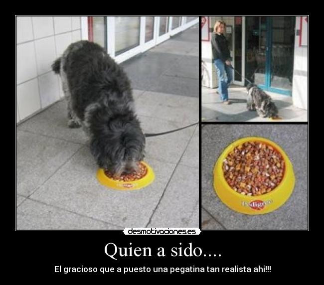 Quien a sido.... - 