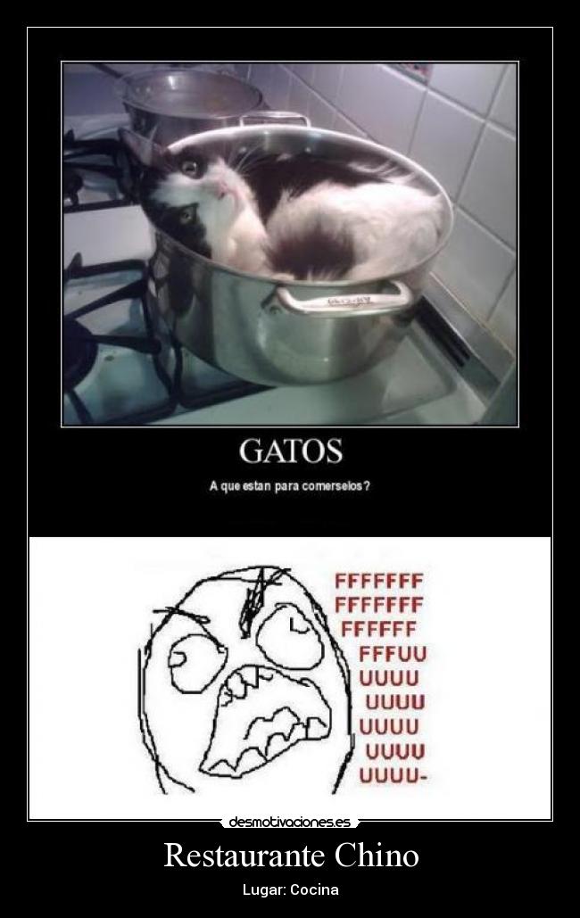 Restaurante Chino - Lugar: Cocina