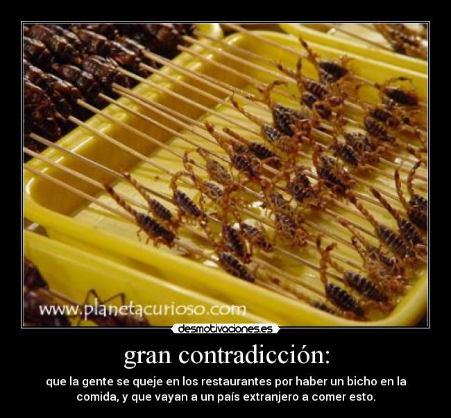 gran contradicción: -