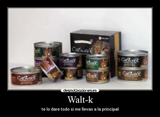 Walt-k - te lo dare todo si me llevas a la principal