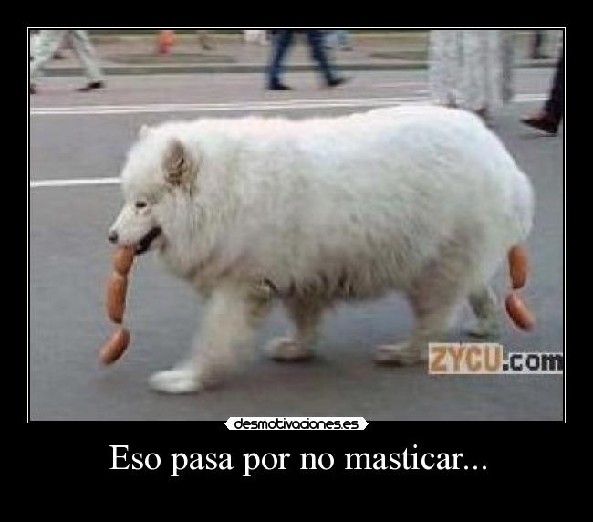 Eso pasa por no masticar... - 