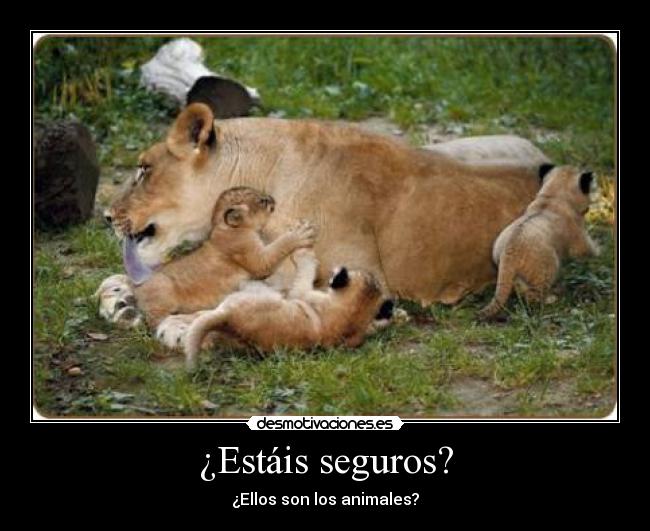 ¿Estáis seguros? - ¿Ellos son los animales?