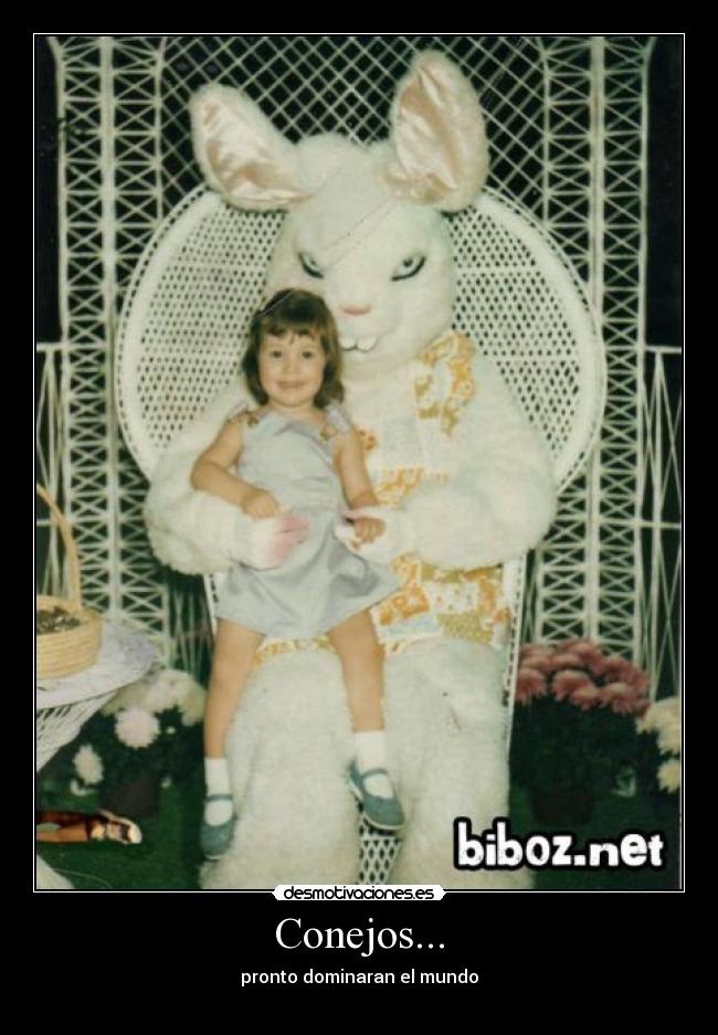 Conejos... - 
