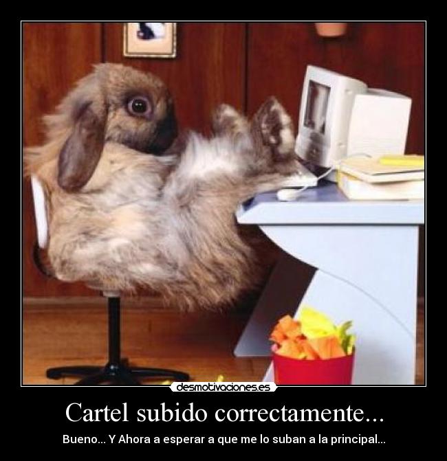 Cartel subido correctamente... - Bueno... Y Ahora a esperar a que me lo suban a la principal...