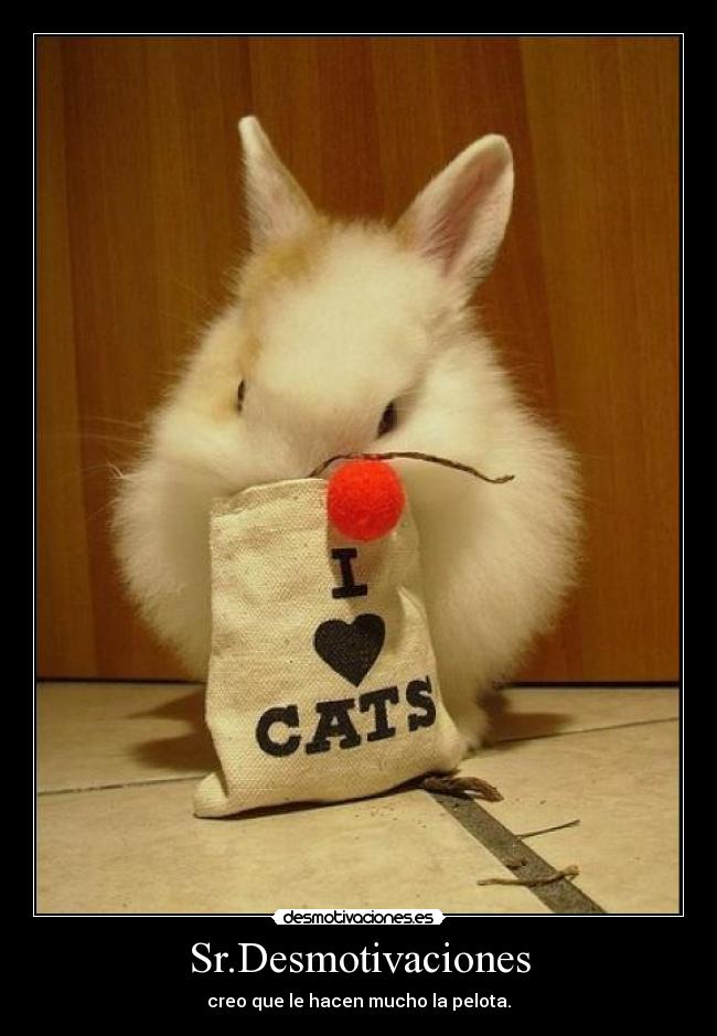 Sr.Desmotivaciones - creo que le hacen mucho la pelota.